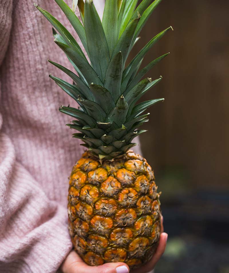 Blog Nanas 1
