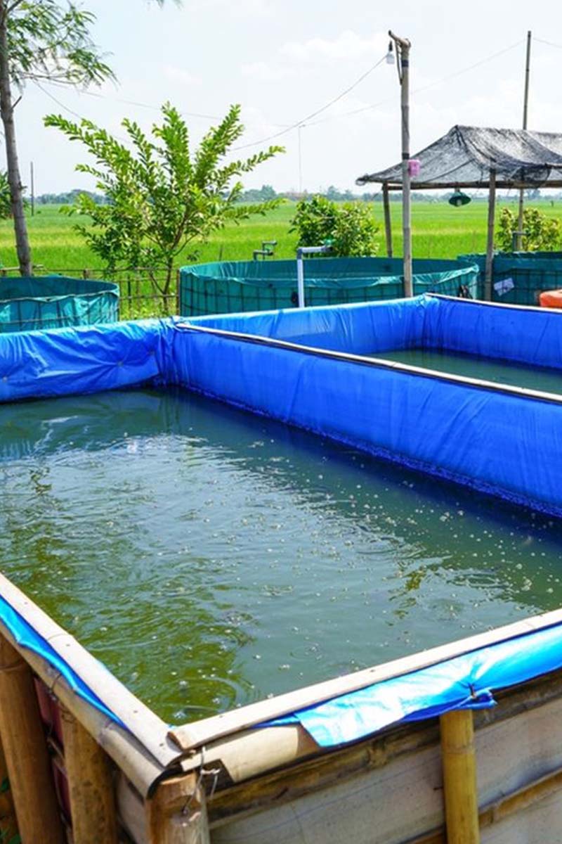 Kolam Terpal